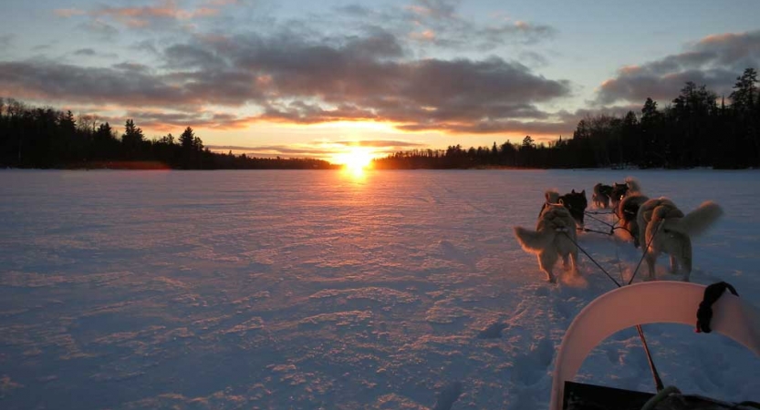 From the point of view from a sled, a team of dogs stretches out ahead on a snowy landscape, while the sun sets on a horizon. 